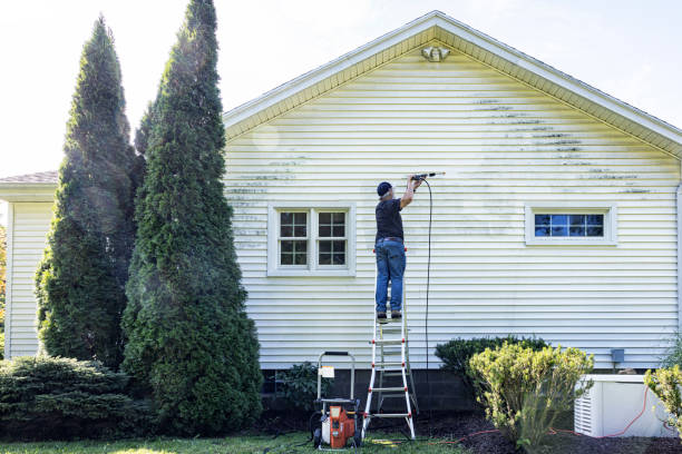 Boat and Dock Cleaning in Glen Ellyn, IL